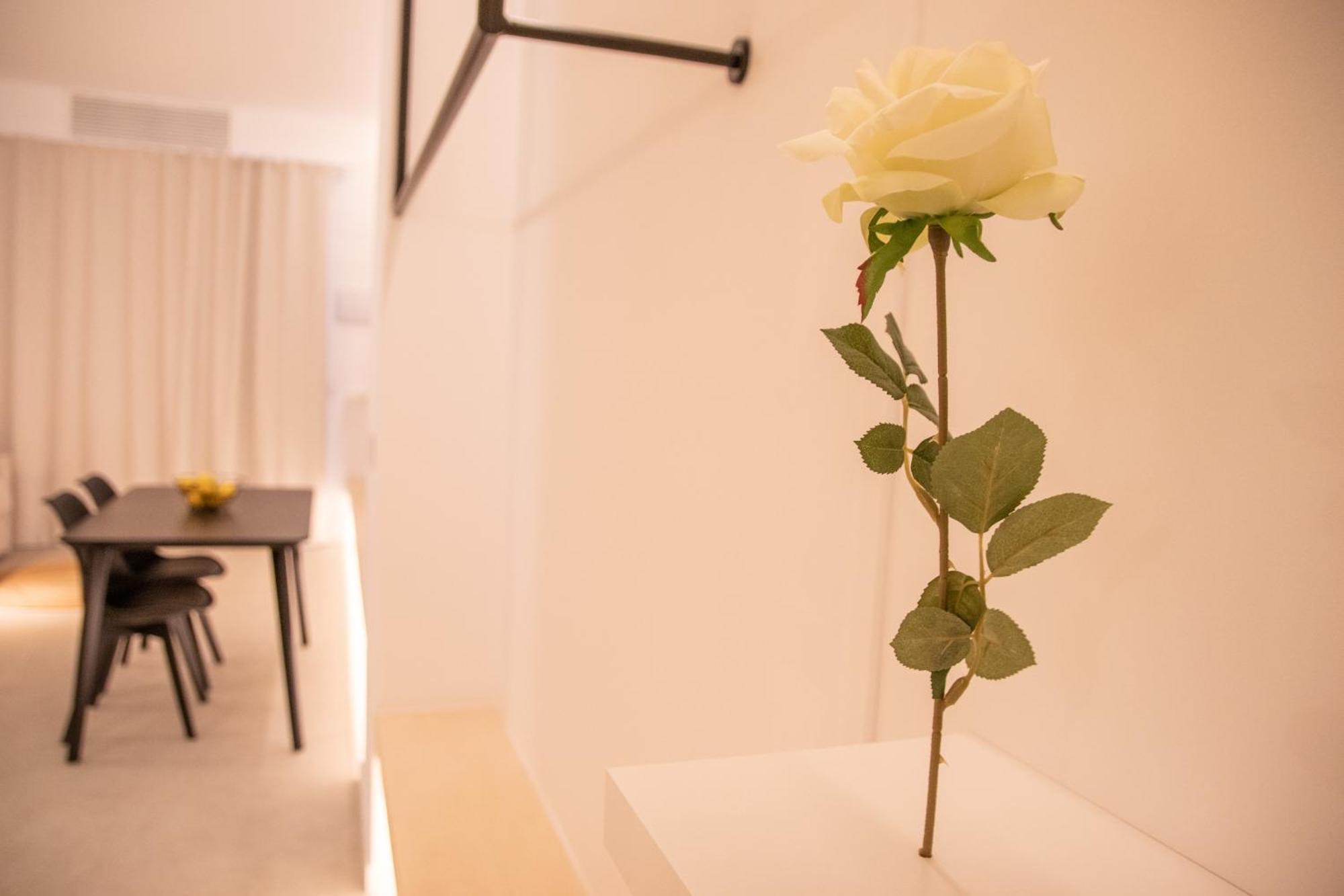 Breathe Apartments By Concept Flats 발렌시아 외부 사진